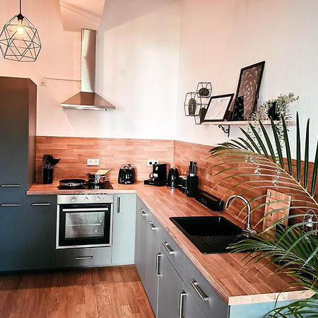 Oasis Appart - Wohnen Im Koenigspark - Elbhang Dresden - Grosse Terrasse - Netflix - Tg Bagian luar foto