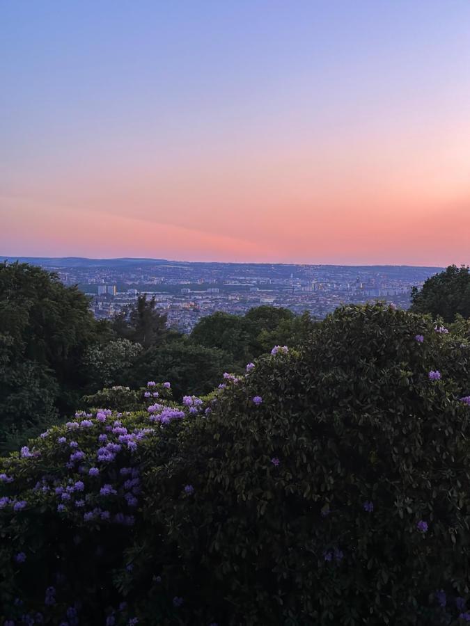 Oasis Appart - Wohnen Im Koenigspark - Elbhang Dresden - Grosse Terrasse - Netflix - Tg Bagian luar foto