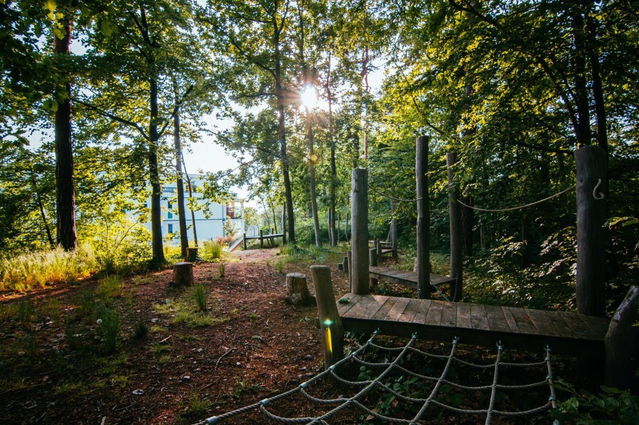 Oasis Appart - Wohnen Im Koenigspark - Elbhang Dresden - Grosse Terrasse - Netflix - Tg Bagian luar foto