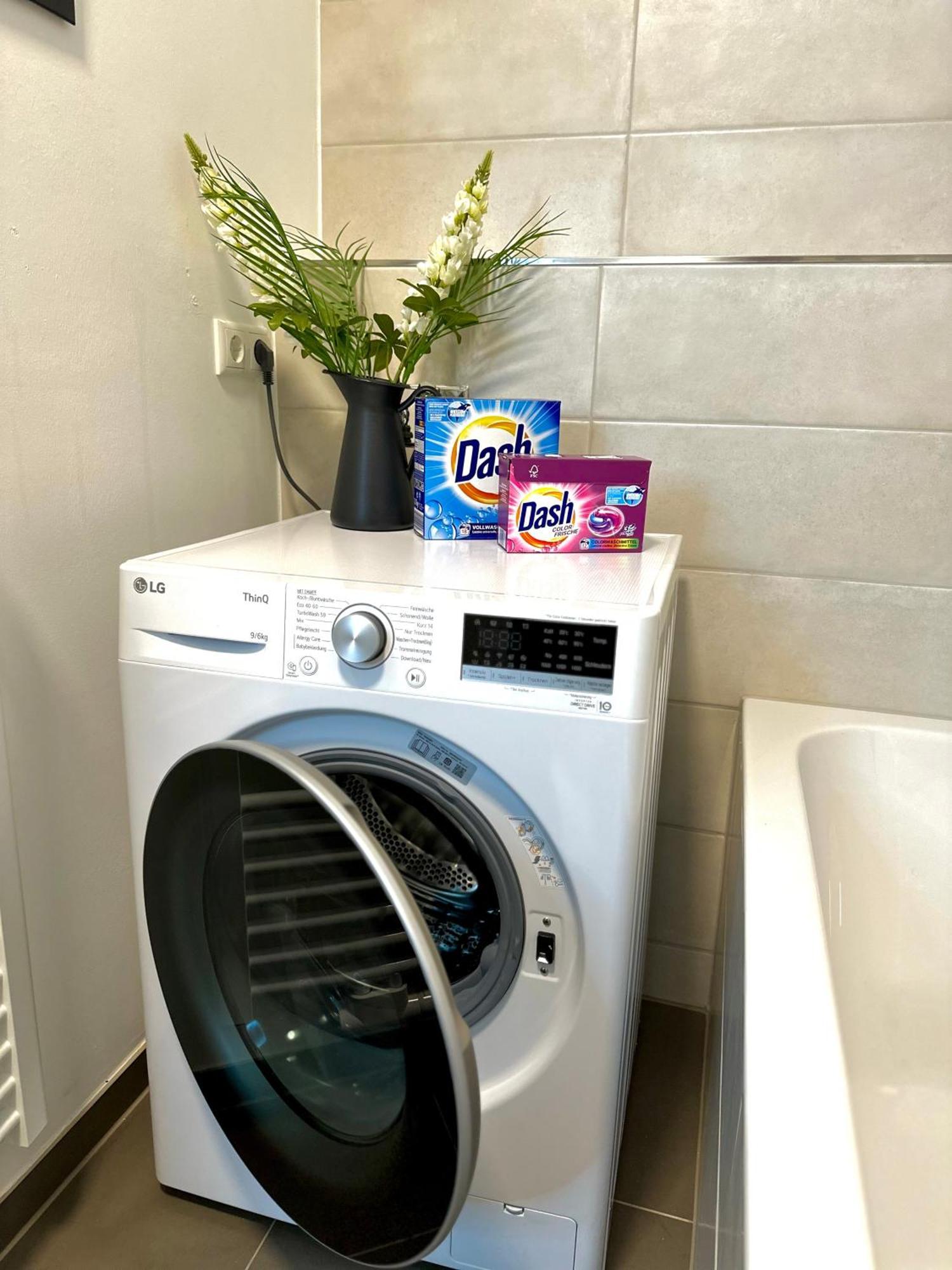Oasis Appart - Wohnen Im Koenigspark - Elbhang Dresden - Grosse Terrasse - Netflix - Tg Bagian luar foto